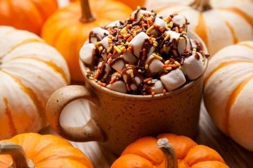 122081-Pumpkin-Spice-Marshmallow-Hot-Chocolate.jpg